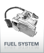 Fuel System