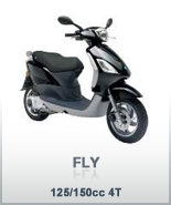 Fly 125/150cc 4T